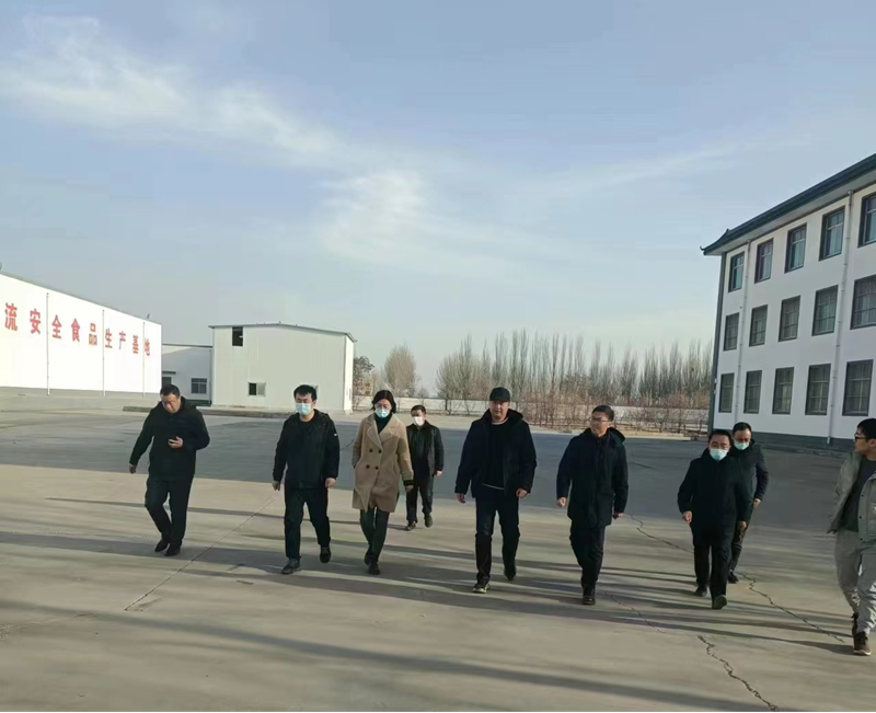 石嘴山市副市長(zhǎng)、惠農(nóng)區(qū)委書記王宇翔蒞臨寧夏興康恒潤(rùn)農(nóng)業(yè)科技發(fā)展有限公司調(diào)研